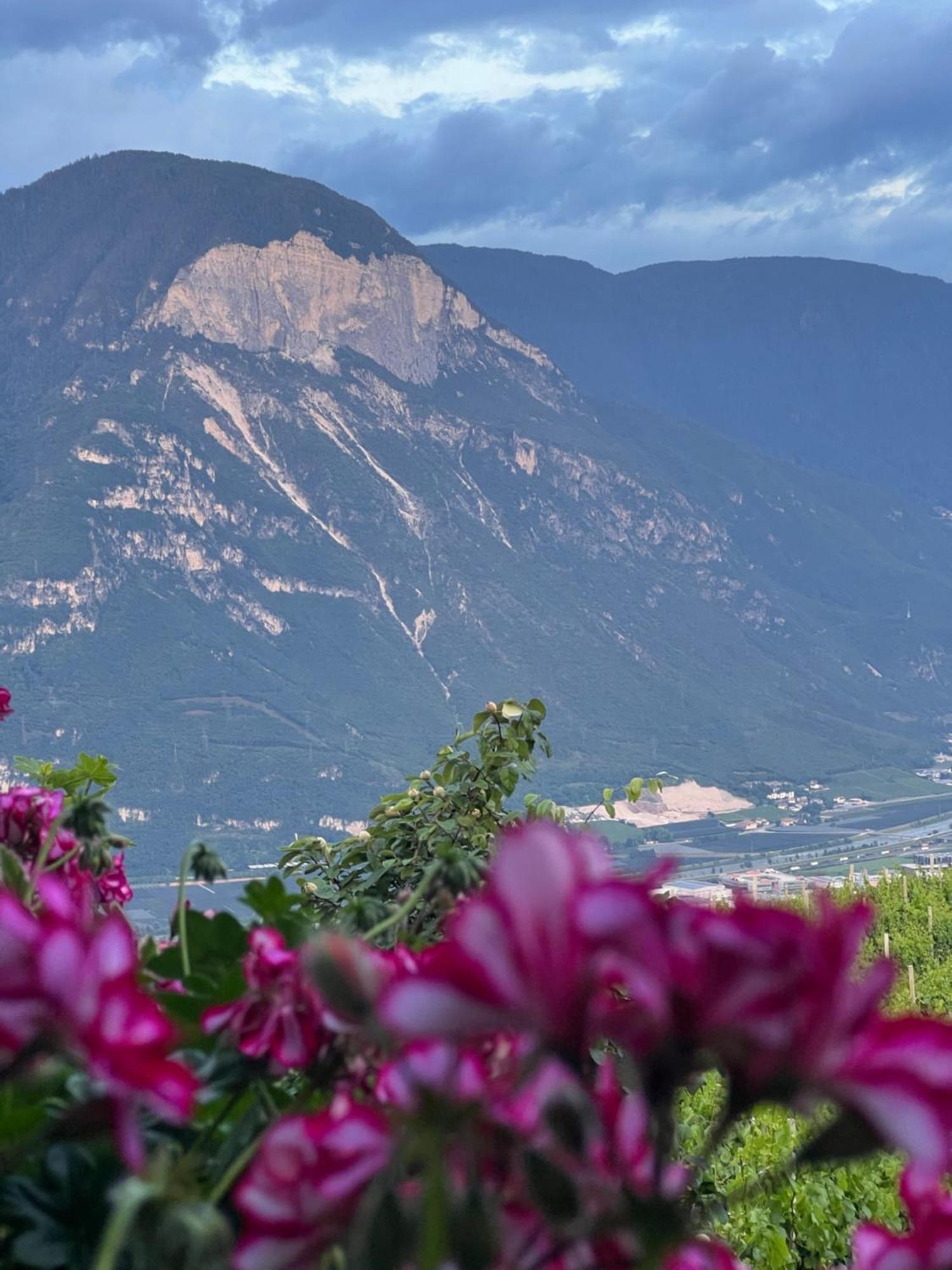 Kerschbamerhof Im Sueden Suedtirols كورتاتشا المظهر الخارجي الصورة